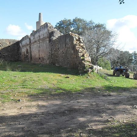 Monte Do Brejinho De Agua Villa Carvalhal  Dış mekan fotoğraf